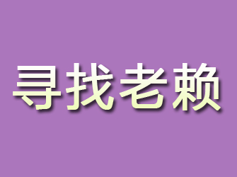 阳谷寻找老赖